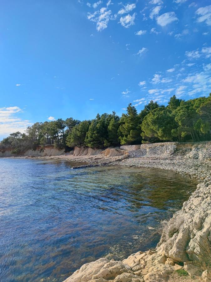 Apartmani Novak - Vir Esterno foto